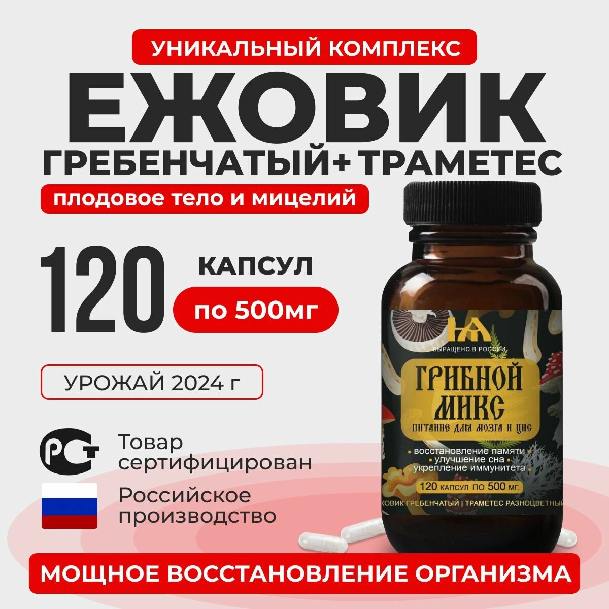 Ежовик гребенчатый плодовое тело, мицелий, траметес
