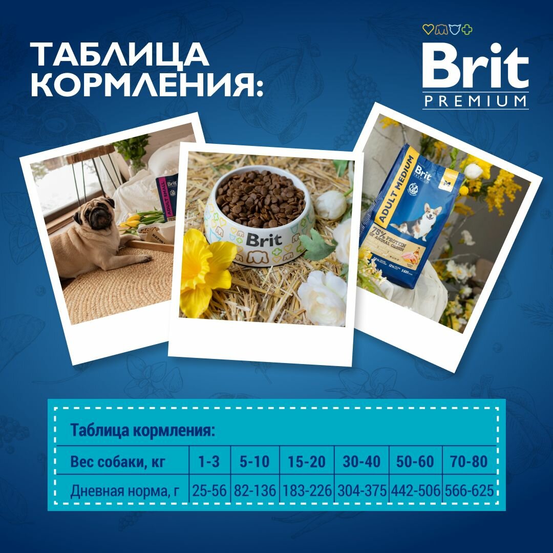 Brit Сухой корм премиум класса с ягненком и индейкой для взрослых собак всех пород с чувствительным пищеварением, 15кг. — фото 1