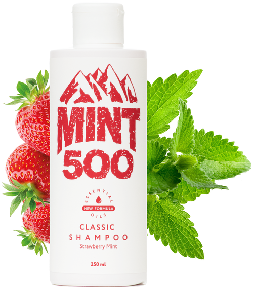 Освежающий шампунь против жирного блеска с ароматом мяты и клубники Mint500 Classic Shampoo 250 мл