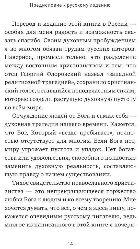 Бог одноэтажной вселенной (Фриман, Протоиерей Стивен) - фото №11