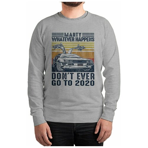 Свитшот DreamShirts Назад в Будущее - Back To The Future Мужской Серый 52