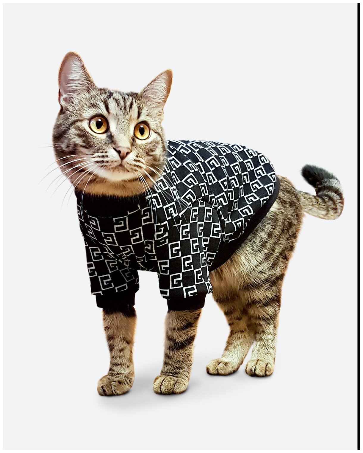 Одежда для кошек / Толстовка для кошек Милано / Одежда для кошек сфинкс - фотография № 4