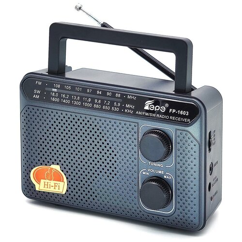 Радиоприемник Fepe FP-1603 139900₽