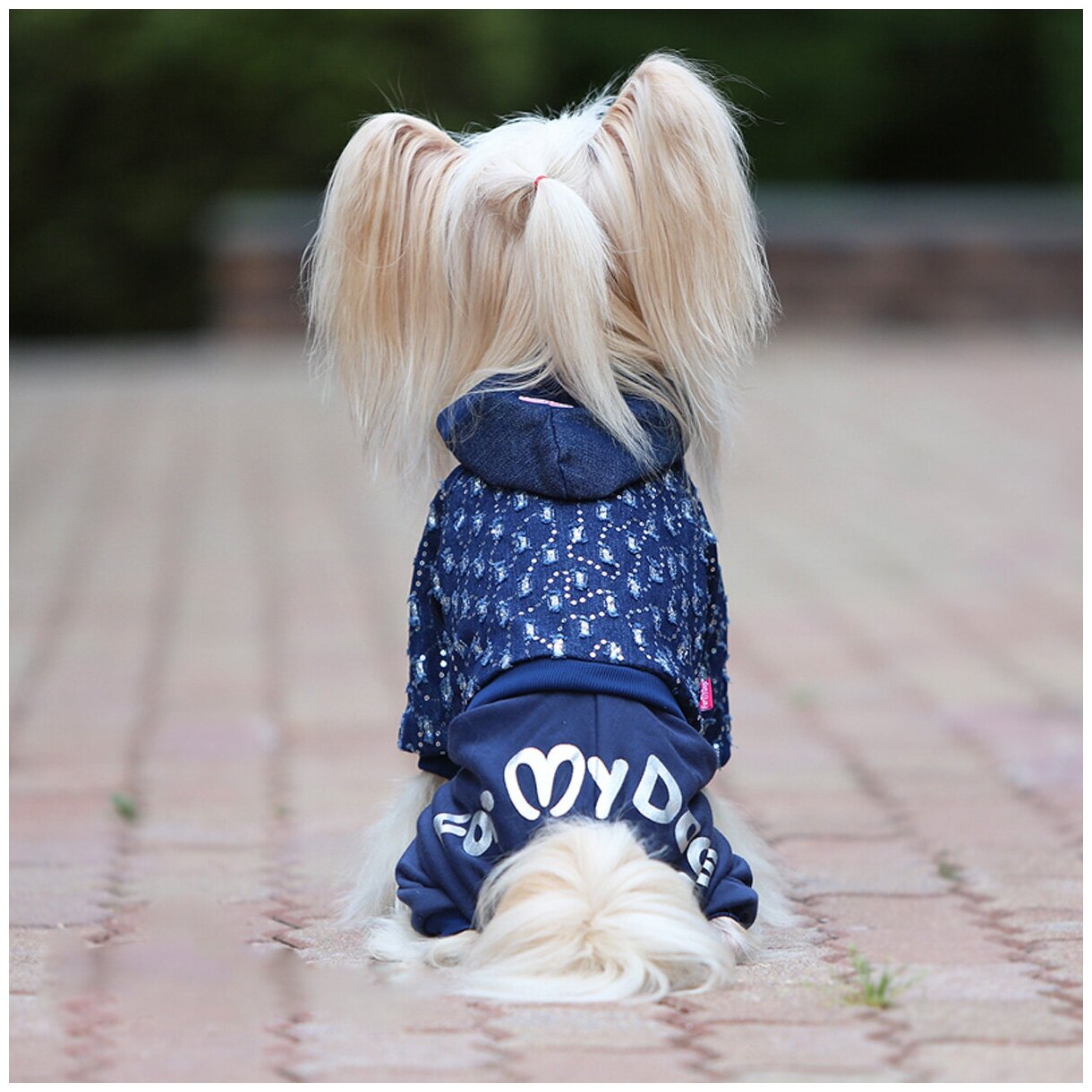FOR MY DOGS костюм для собак утепленный джинс синий FW909-2020 (14) - фотография № 6