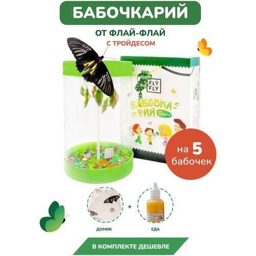 Ферма бабочек 