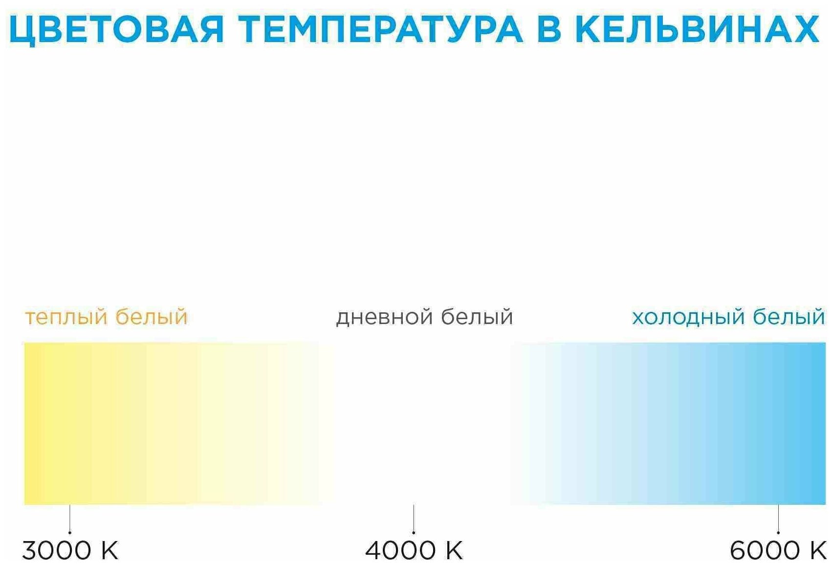 Светодиодная лента для подсветки рабочей зоны SMD 3528 120 диод/10 Вт/м 24 В 8 мм IP20 5 м холодный белый свет Apeyron - фото №15