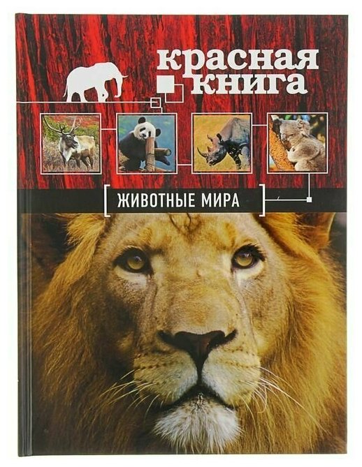 Красная книга «Животные мира». Скалдина О. В, Слиж Е. А.