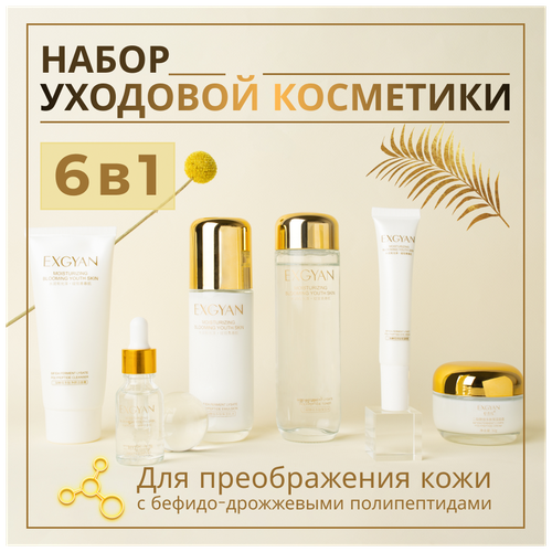 Набор уходовой косметики для лица Exgyan 6 в1, beauty box подарочный (тонер, крем, эссенция, сыворотка, крем вокруг глаз)