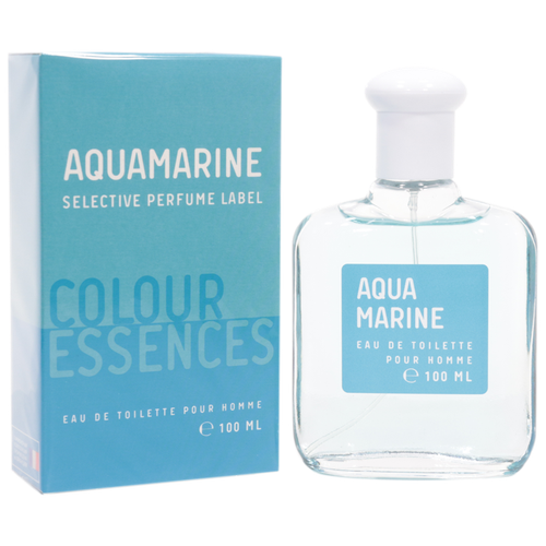 Today Parfum туалетная вода Colour Essences Aquamarin, 100 мл, 270 г туалетная вода мужская colour ssncs silvr black 100 мл today parfum 9148594