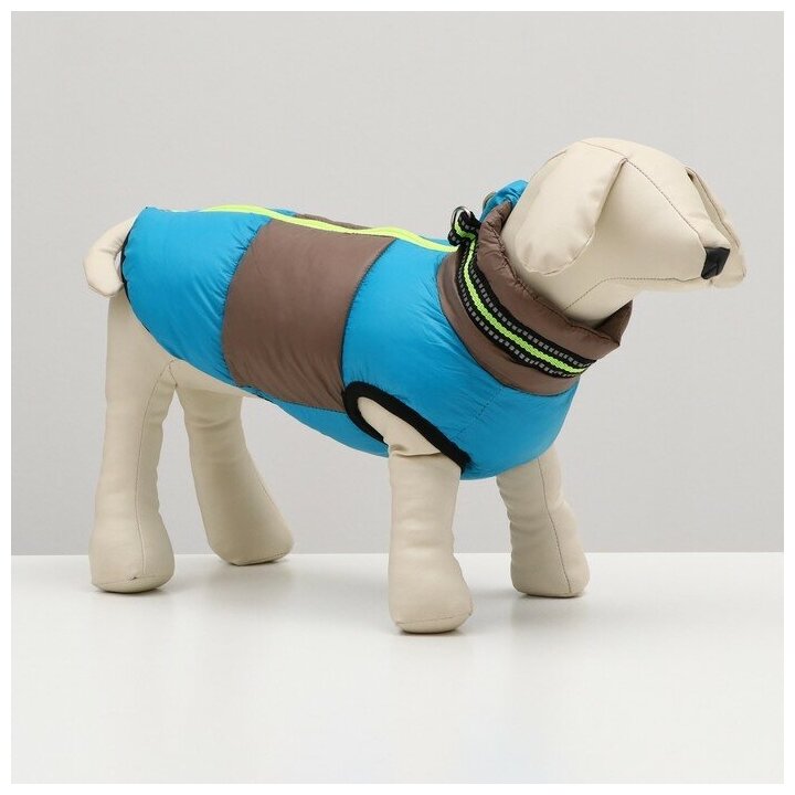 Куртка для собак на молнии, размер 16 (ДС 36 см, ОГ 46 см, ОШ 35 см), серо-голубая 7980749 . - фотография № 1