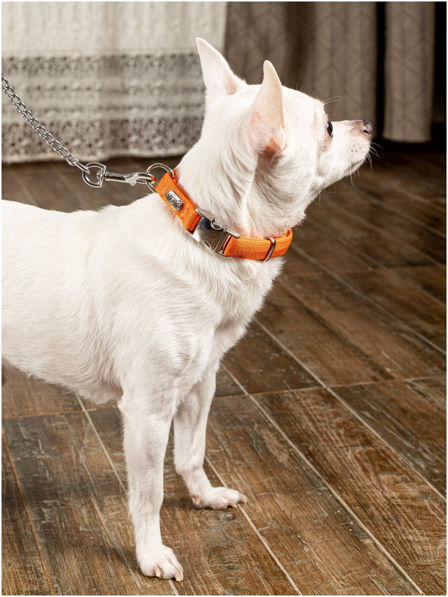 Воздушный ошейник Japan Premium Pet для активных и серьёзных собак, размер S (цвет: оранжевый) - фотография № 6