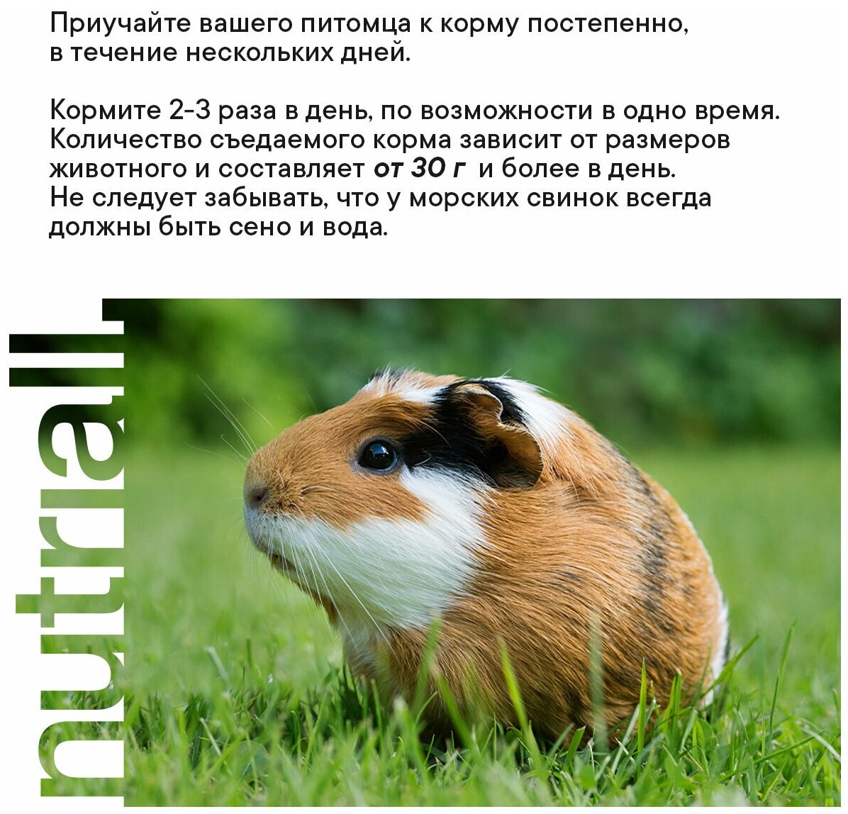 Nutriall Полнорационный корм для морских свинок с фруктами 900 грамм