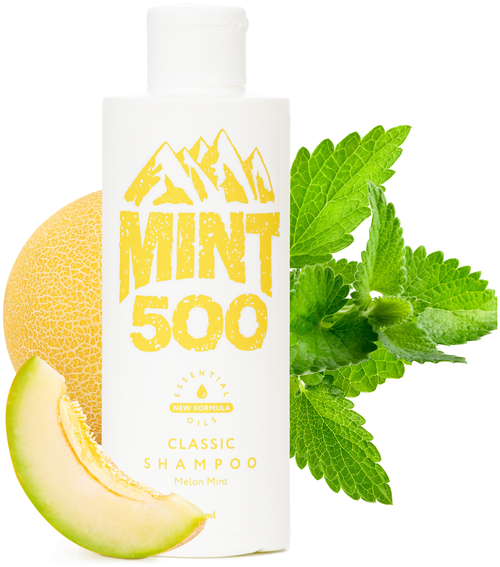 Освежающий шампунь против жирного блеска с ароматом мяты и дыни Mint500 Classic Shampoo 250 мл