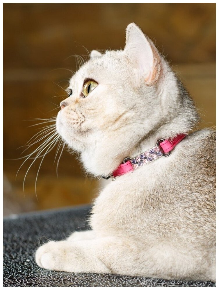 Безопасный ошейник для кошек Japan Premium Pet "алмазные подвески", размер 3S, розовый - фотография № 4