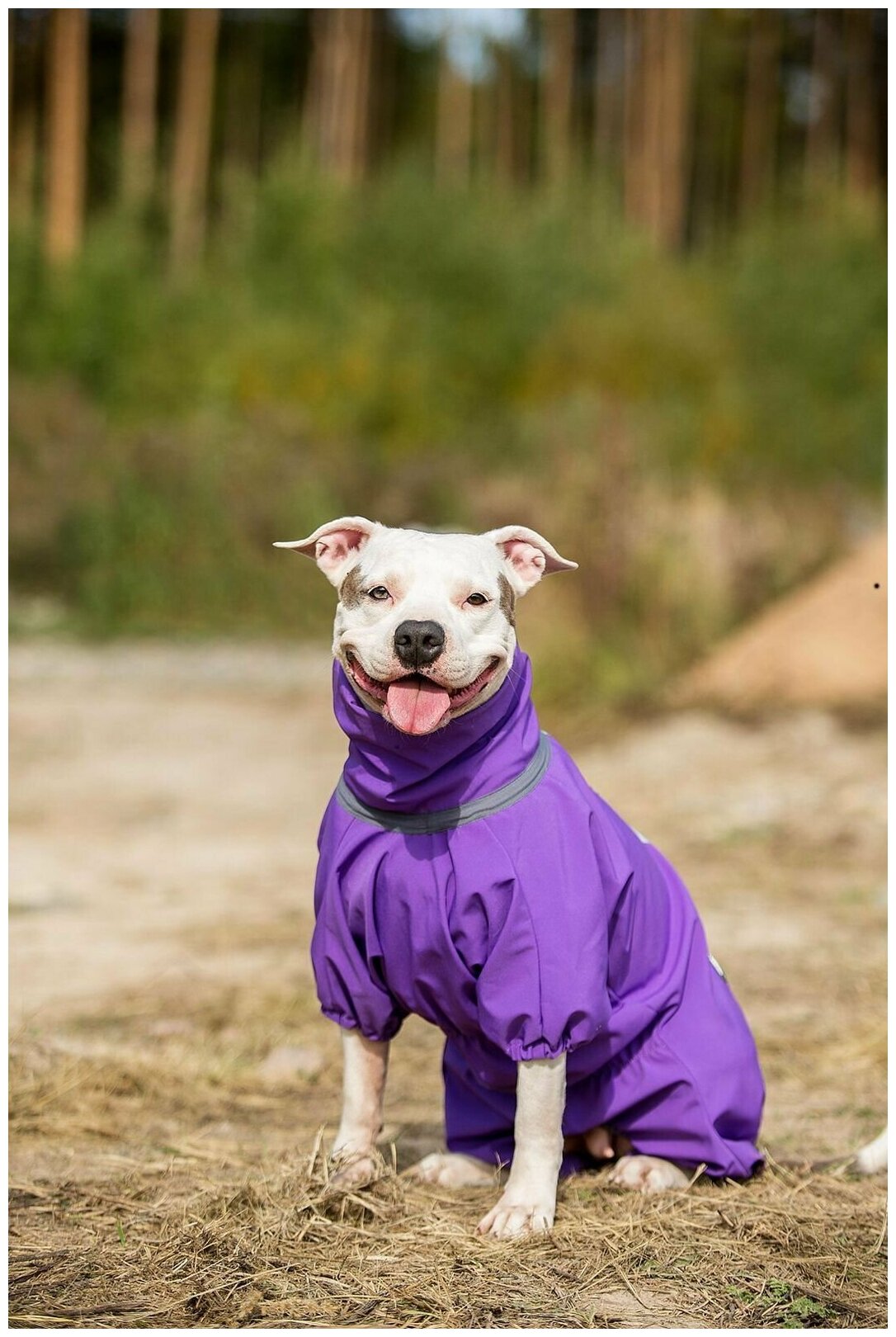 Комбинезон для собак Одежда для животных - фотография № 9