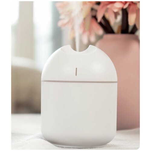 Увлажнитель воздуха с подсветкой с кабелем USB 88200₽