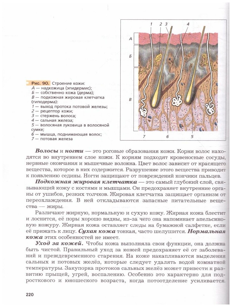 Биология. 8 класс. Учебник. (Драгомилов Александр Григорьевич, Маш Реми Давидович) - фото №3