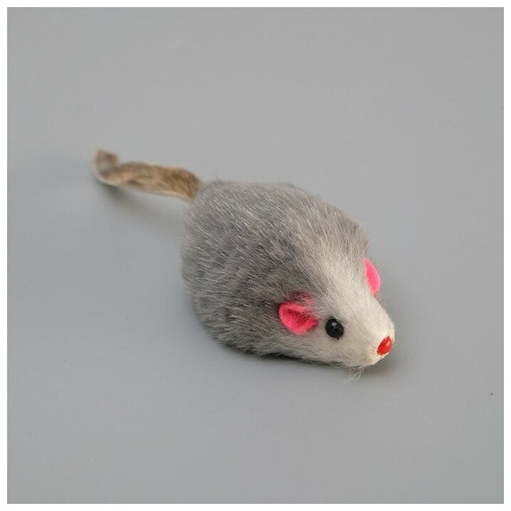 Triol игрушка для кошек "Мышь серая", 45-50 мм, упаковка 4 шт - фотография № 5