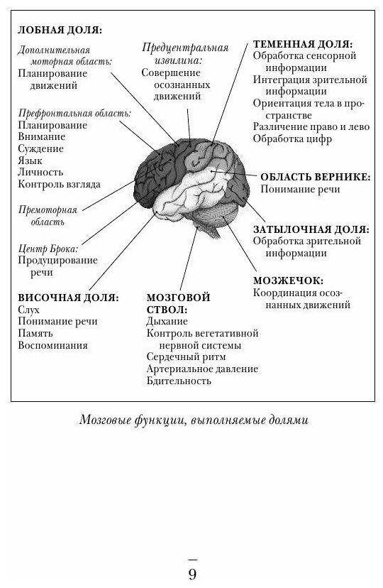 Мозговой штурм. Детективные истории из мира неврологии - фото №8