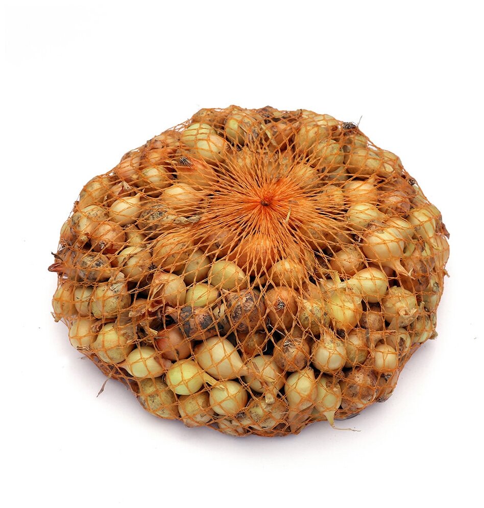 Семена лук-севок Штуттгартер Ризен (Россия), 500 грамм - фотография № 2