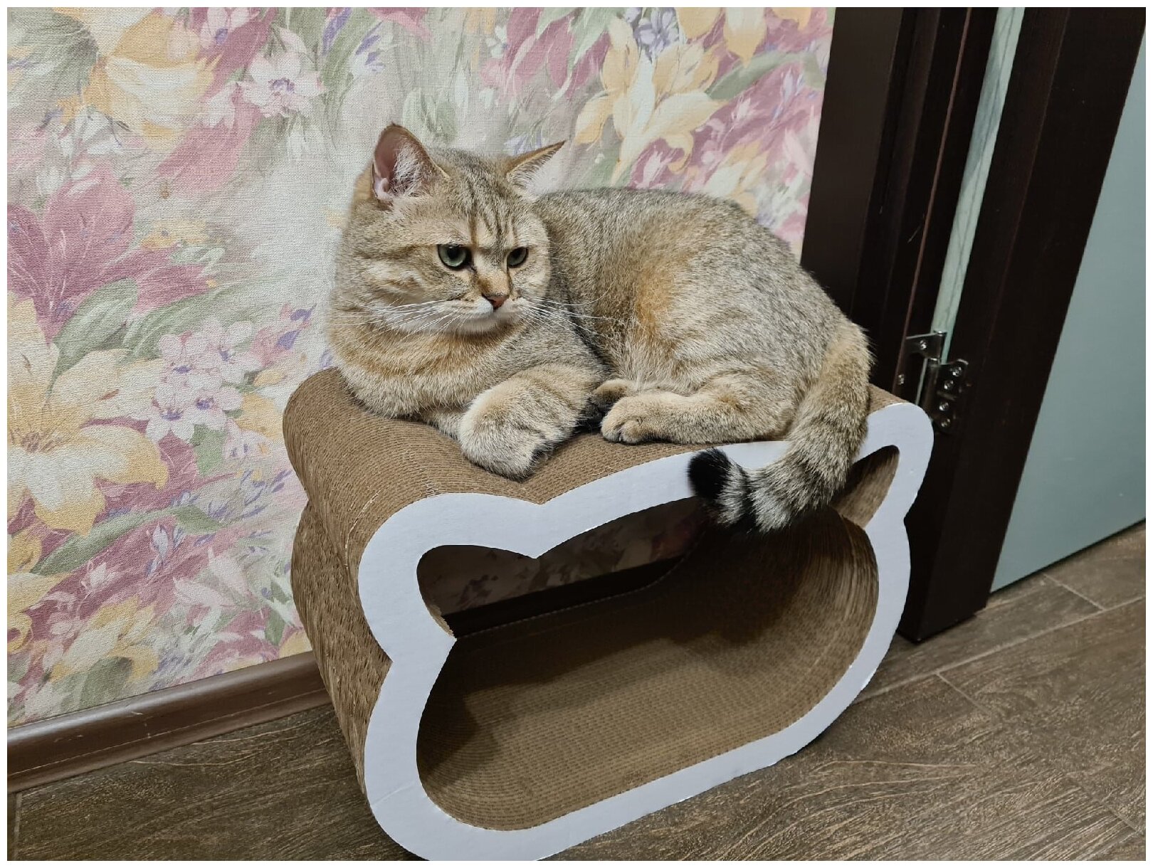 Cat Set "Когтеточка - лежанка Koty XL", 45*23*31см, Когтеточка для кошек из картона - фотография № 5