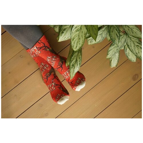 фото Носки шерстянки базовая коллекция, размер 42/45, красный, белый