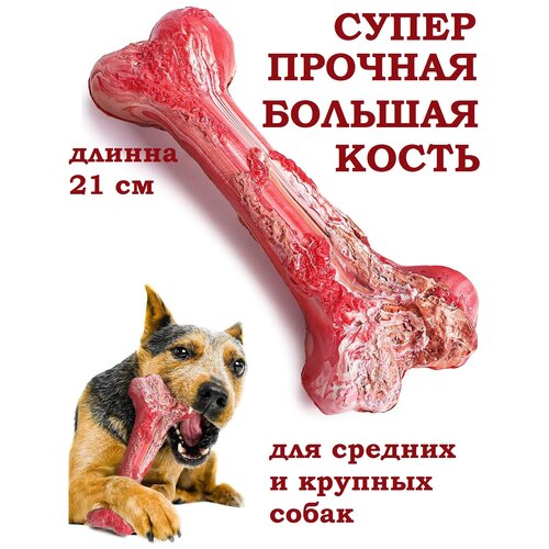 Игрушки для собак, кость, грызунок, кусалка для собак, зубочистки, антистресс игрушка для собак solmax косточка для зубов зеленая 18 5x11x6 см