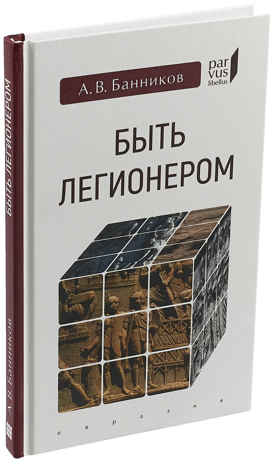 Быть легионером (Банников Андрей Валерьевич) - фото №8