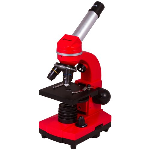 Микроскоп Bresser Junior Biolux SEL 40..1600x, красный