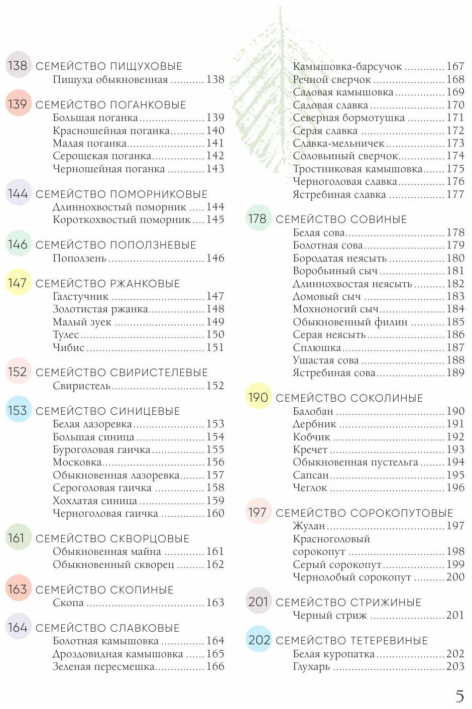 Птицы России. Большая иллюстрированная энциклопедия - фото №13