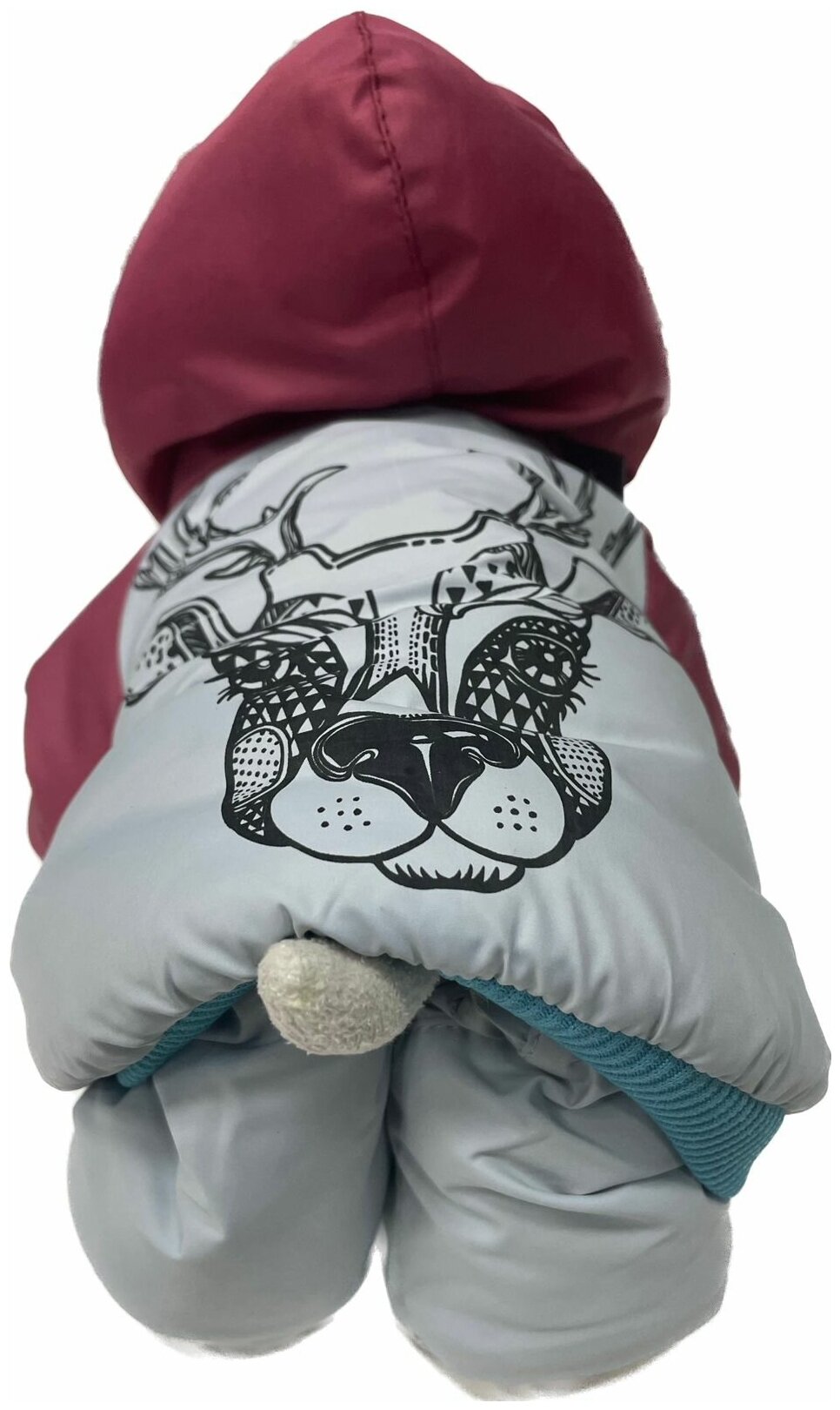DogVille, Одежда для собак - комплект: полукомбинезон и куртка с капюшоном, на кнопках, зима, 52623д - фотография № 7