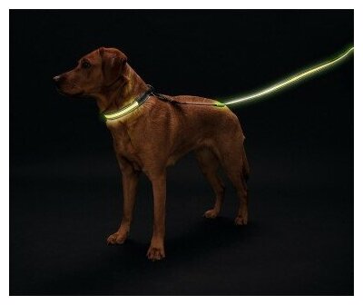 Hunter LED Ошейник Manoa Glow S (45-50)/2,5 оранжевый . - фотография № 12