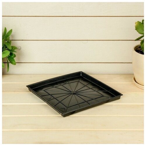 Поддон для рассады 21 21 17 см пластик чёрный 263₽