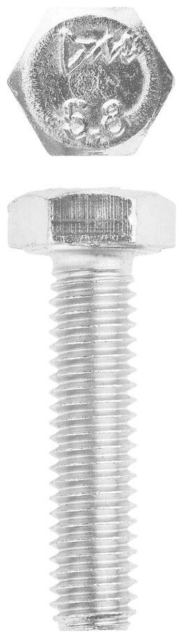 ЗУБР ГОСТ 7798-70, M6 x 50 мм, кл. пр. 5.8, болт оцинкованный, 4 шт (303086-06-050)