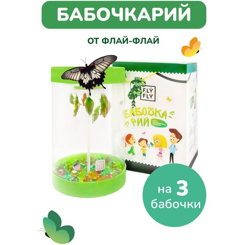 Ферма бабочек 