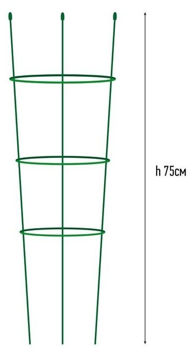 Держатель для растений 3 кольца (высота 75 см) - фотография № 3
