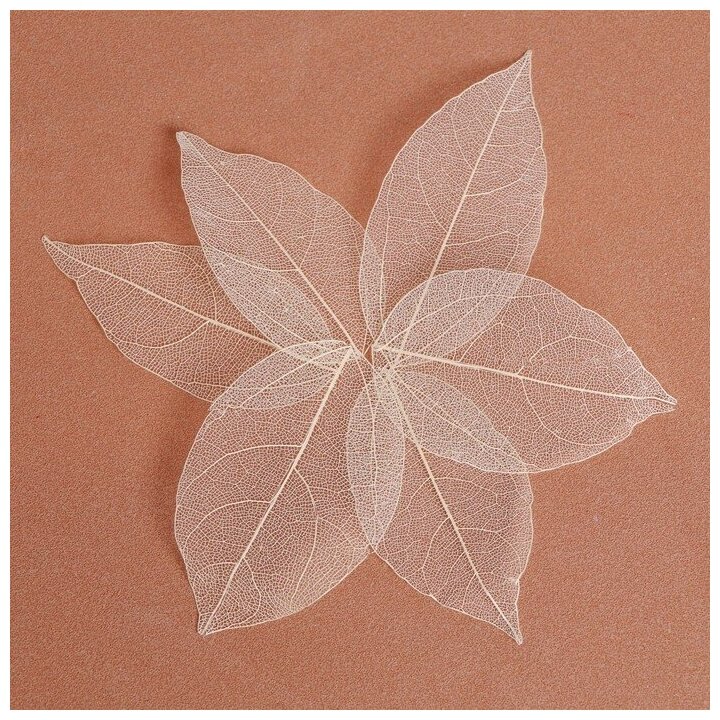 Сухие листья (набор 5 шт) размер 1 шт: 8×5 см цвет белый