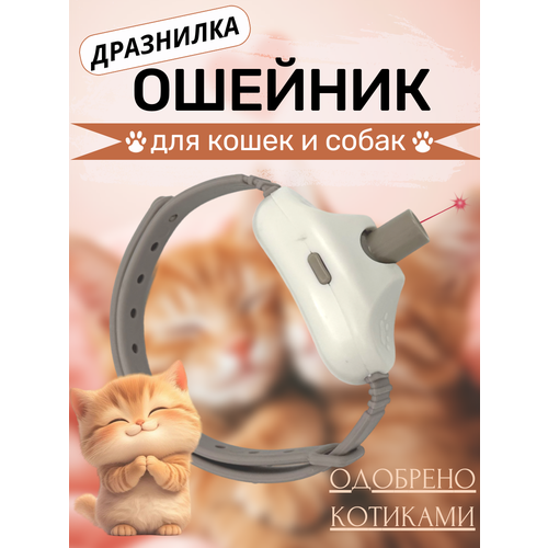 Игрушка лазер для кошек и собак, ошейник с лазерной указкой , интерактивная игрушка для кошек и собак с красным лучом