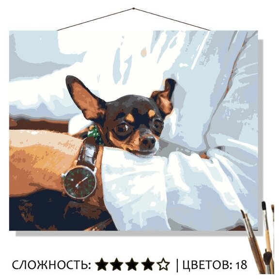 Картины по номерам чихуахуа на холсте