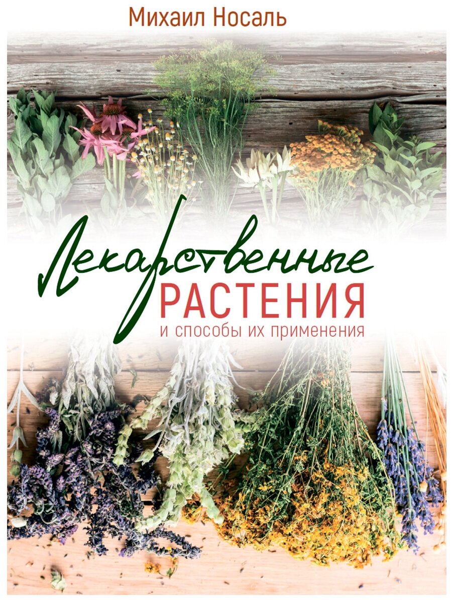 Лекарственные растения и способы их применения в народе. Носаль М. А.