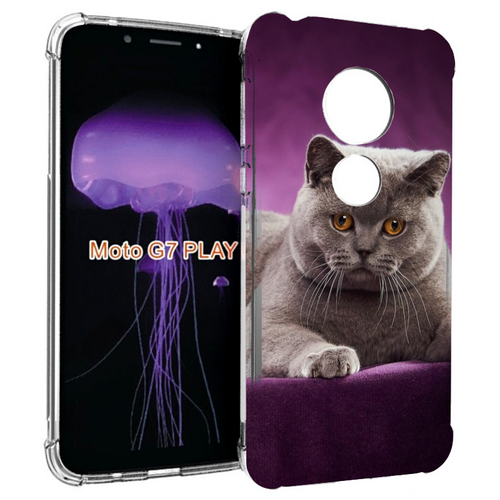 Чехол MyPads кошка британская короткая для Motorola Moto G7 Play задняя-панель-накладка-бампер