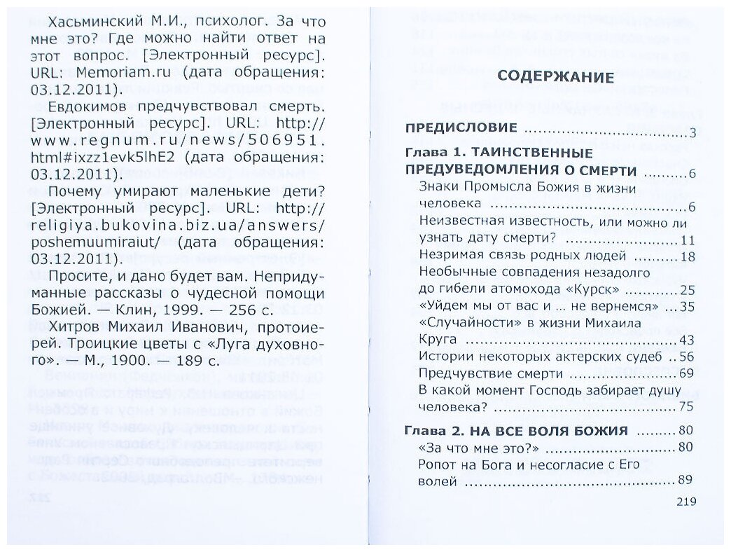 Неслучайные "случайности", или на все воля Божия - фото №6