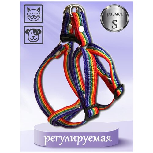 Шлейка для собак Petsare обхват груди 32-46 см, цветная