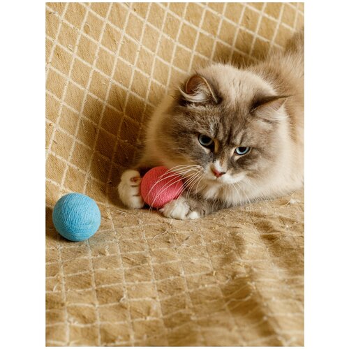 Набор игрушек для кошек и котят Japan Premium Pet клубок из безопасных хлопковых ниток со смещенным центром тяжести и колокольчиком внутри. Разноцветный