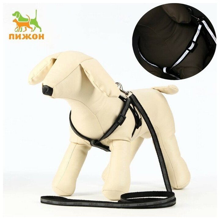 Шлейка для собак Пижон "Спорт" 23-35 см, светоотражающий, 1 см, поводок 1,2 м, черный