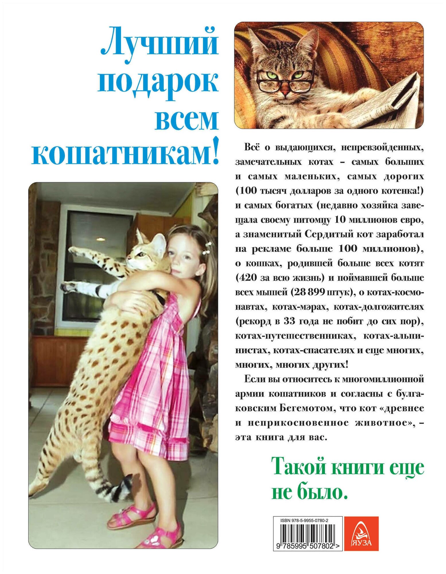 Жизнь замечательных котов (Незвинская Л. (ред.)) - фото №3