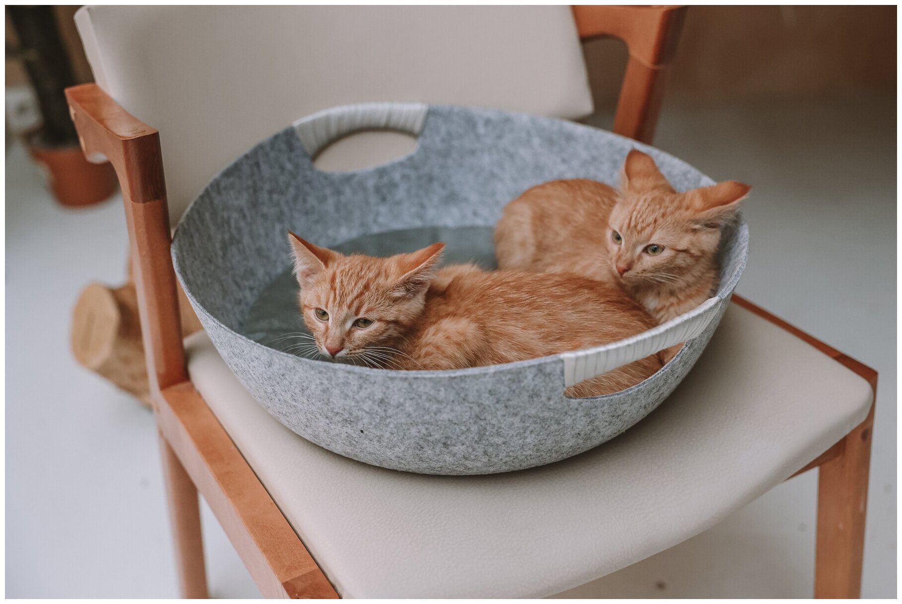 Лежанка-корзинка для животных, для кошек, для собак, "Не Один Дома" Китти, серый - фотография № 6