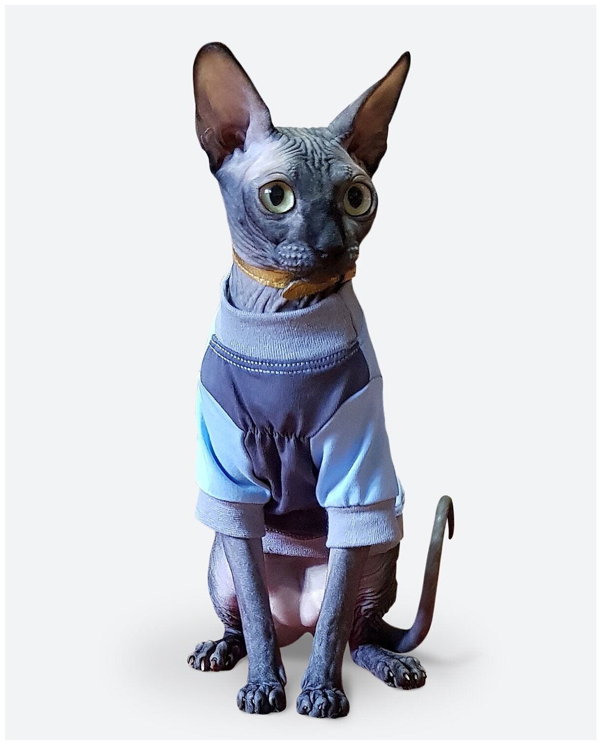 Футболка одежда для кошек "Я твой" размер XXS/ Майка для для котят/котов /сфинкс / сфинксов / Одежда собак мелких пород - фотография № 6