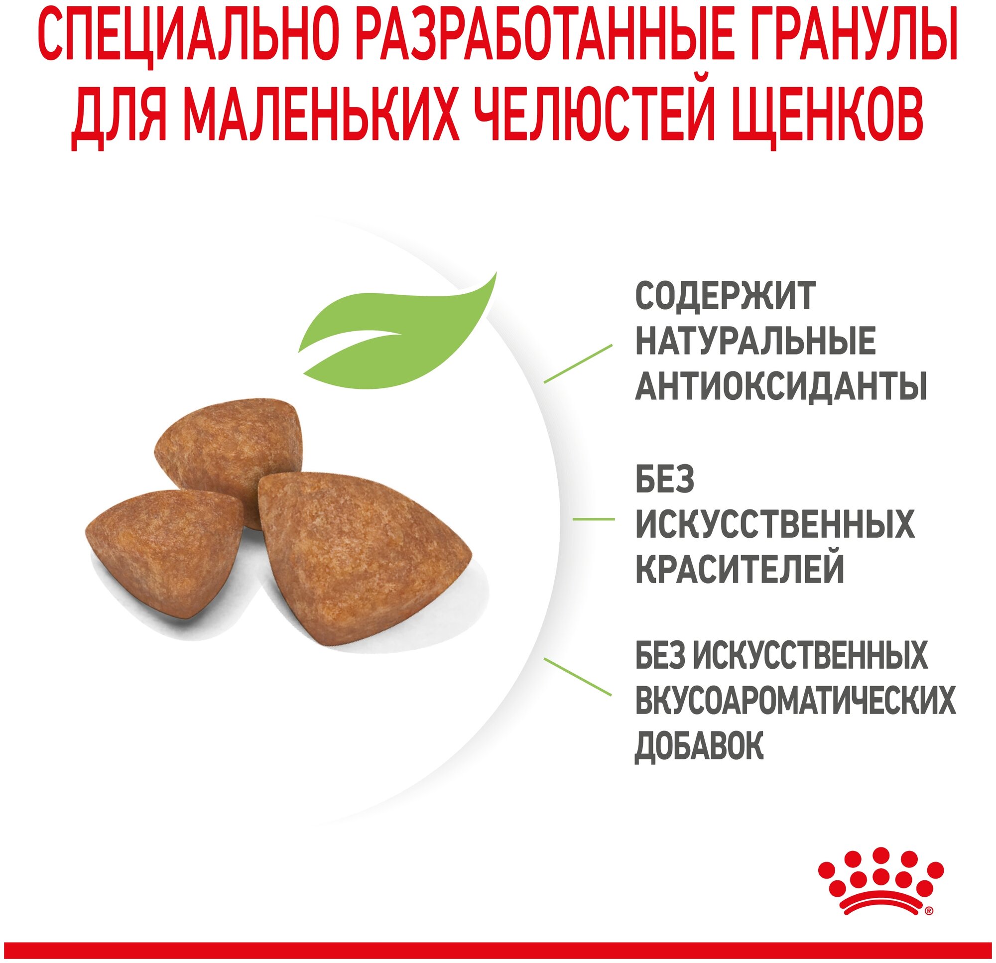 Сухой корм Royal Canin X-Small Puppy (Икс Смолл Паппи) для щенков миниатюрных пород (вес взрослой собаки до 4 кг) до 10 месяцев, 3 кг - фотография № 4