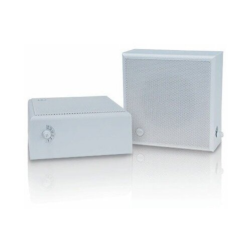 Акустика трансляционная трансформаторная CVGaudio WPS6T 451200₽